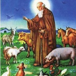 La Bendición de San Antón a los animales