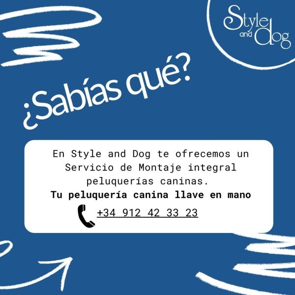 Todo lo que siempre quisiste saber antes de montar tu propia peluquería canina